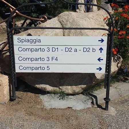 Corbezzoli