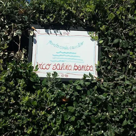 Apartment Corbezzoli