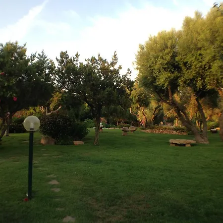 Corbezzoli *