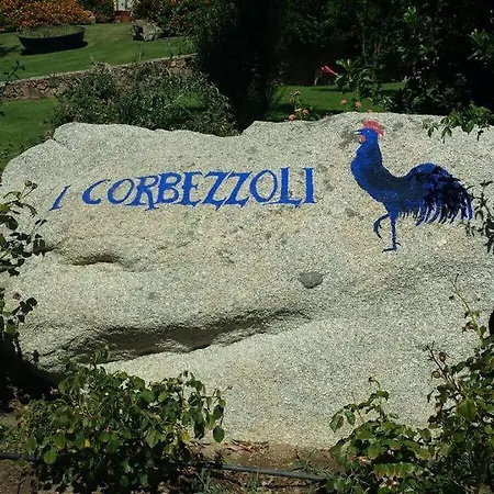 Corbezzoli * Capo Coda Cavallo